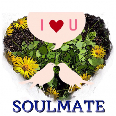 gallery/soulmate 2